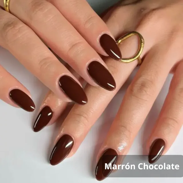 Marron Chocolate