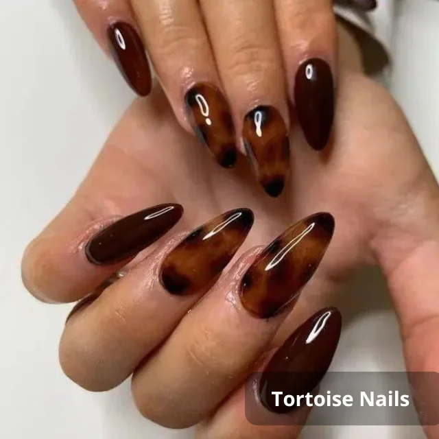 Uñas Tortoise nails